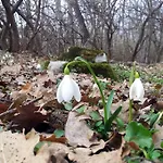 A Mecsek Gyoengye Apartmanhaz *