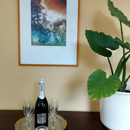 公寓 A Mecsek Gyoengye Apartmanhaz *