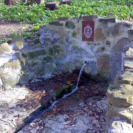 A Mecsek Gyoengye Apartmanhaz * Pécs