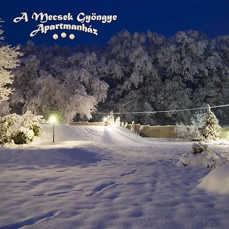Apartament A Mecsek Gyoengye Apartmanhaz Pécs