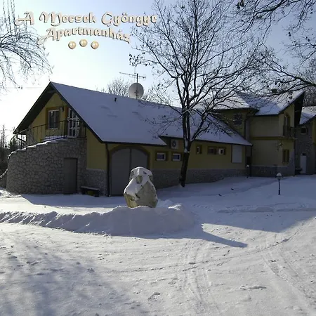 A Mecsek Gyoengye Apartmanhaz * Pécs
