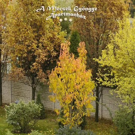A Mecsek Gyoengye Apartmanhaz * Pécs