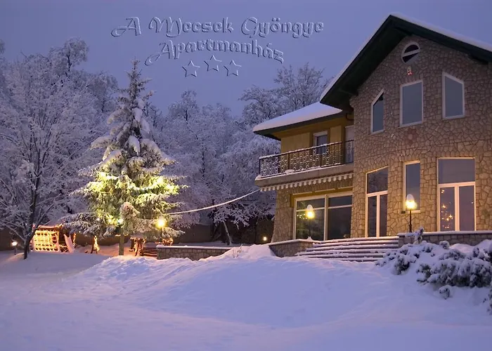 A Mecsek Gyoengye Apartmanhaz Apartament Beci