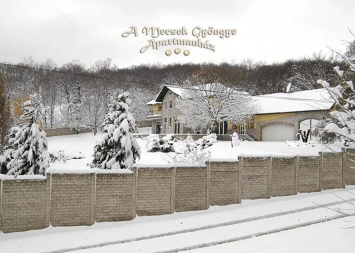 A Mecsek Gyoengye Apartmanhaz Beci