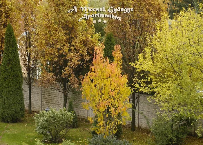 A Mecsek Gyoengye Apartmanhaz * Beci